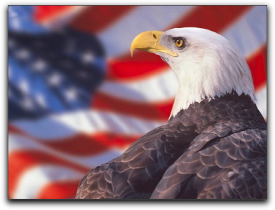 Blog_Flag_Eagle.jpg